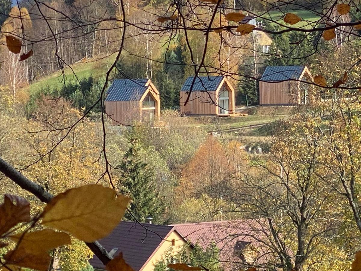 Domki Pod Lasem - Domek Brzozowy Stronie Śląskie Dış mekan fotoğraf