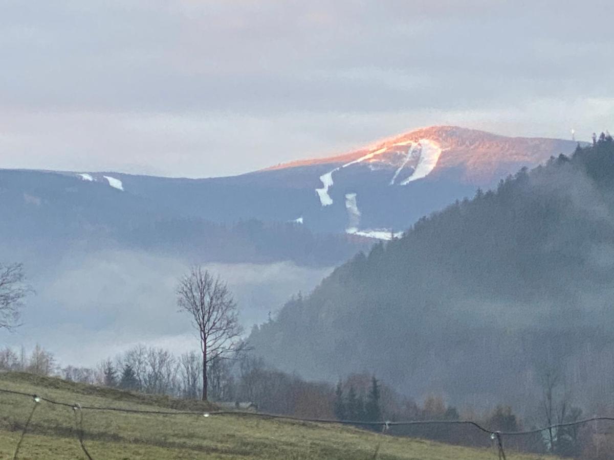 Domki Pod Lasem - Domek Brzozowy Stronie Śląskie Dış mekan fotoğraf