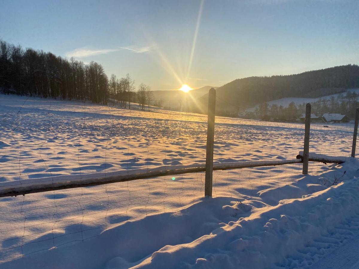 Domki Pod Lasem - Domek Brzozowy Stronie Śląskie Dış mekan fotoğraf