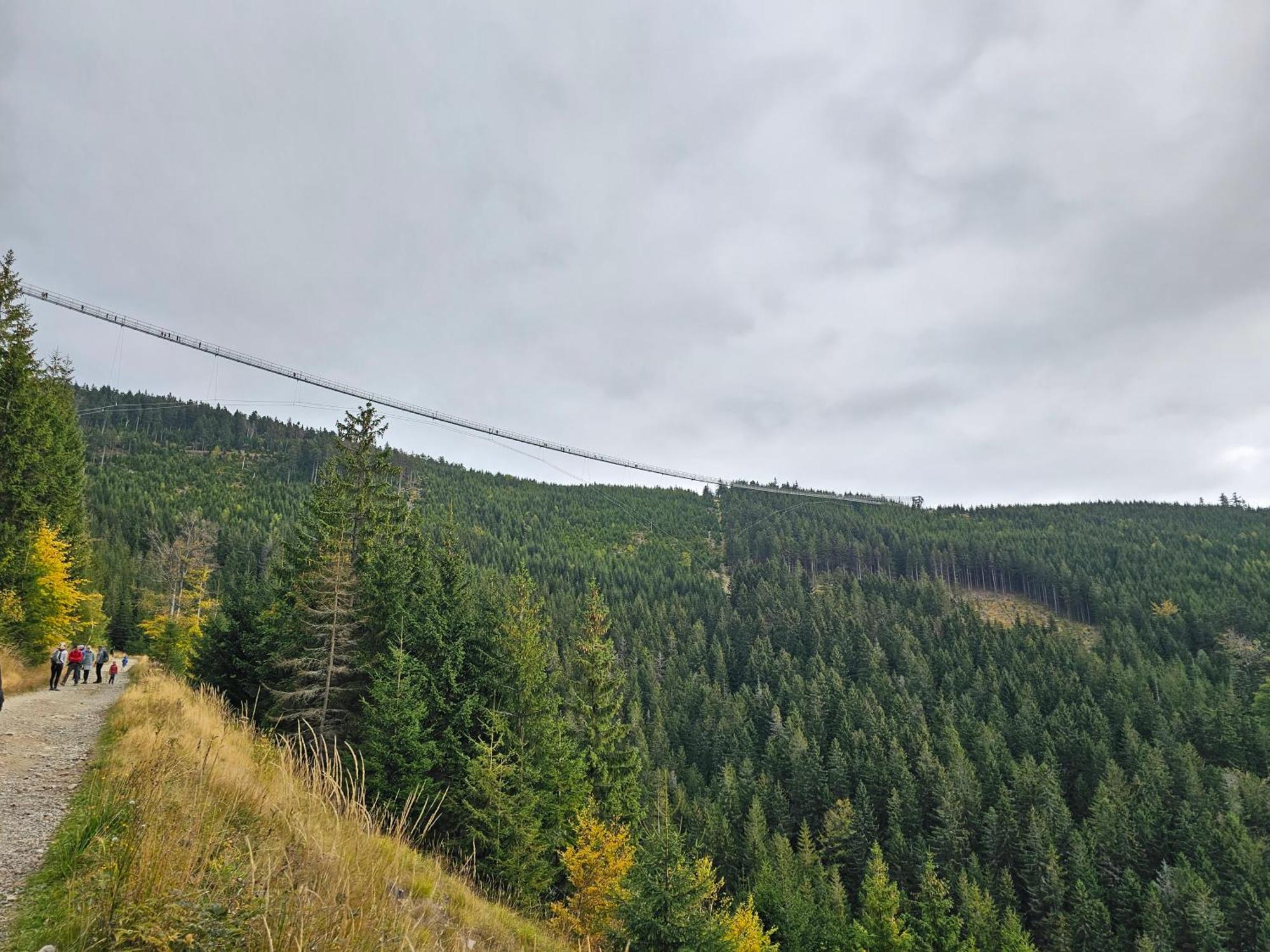 Domki Pod Lasem - Domek Brzozowy Stronie Śląskie Dış mekan fotoğraf