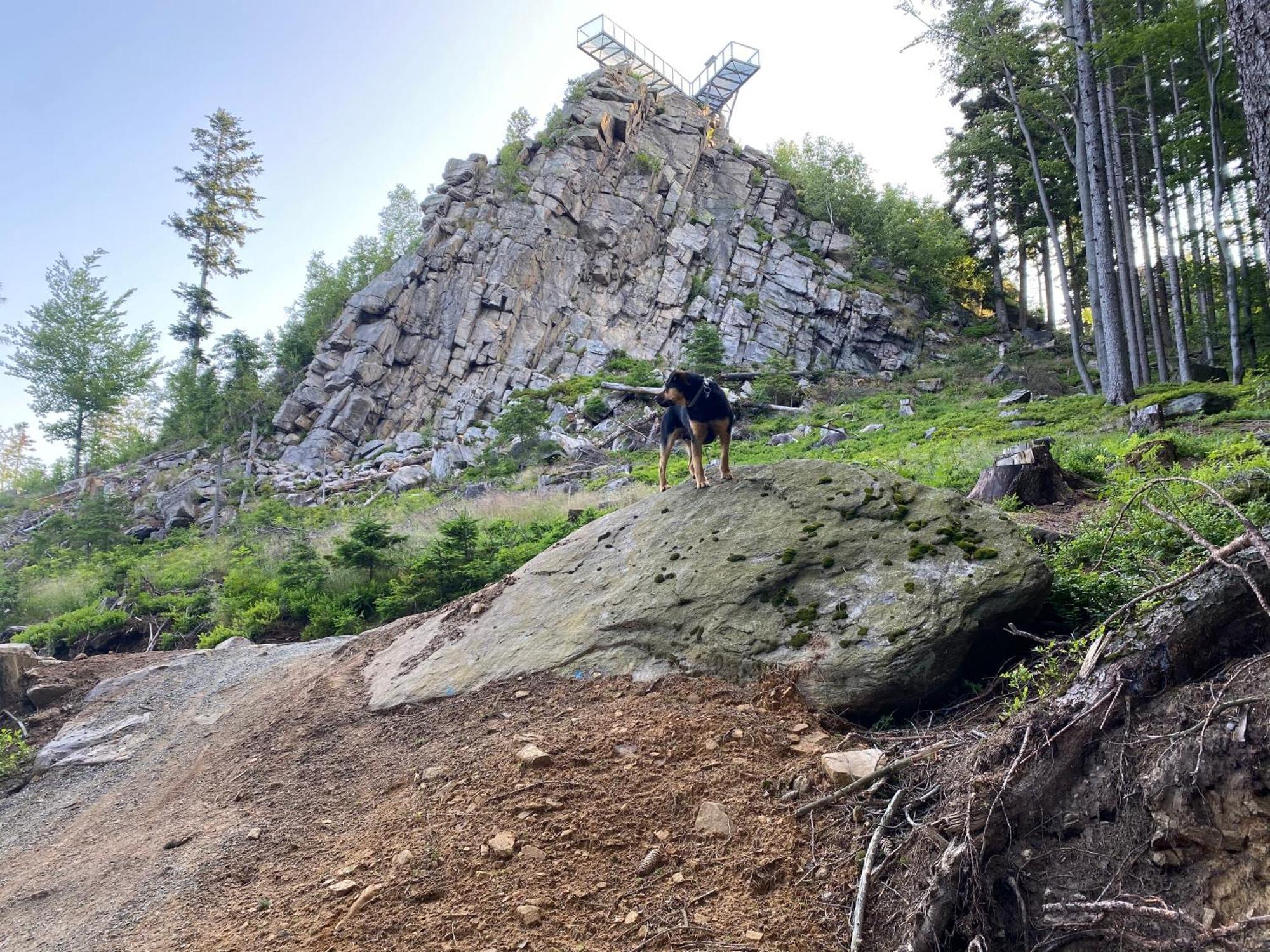 Domki Pod Lasem - Domek Brzozowy Stronie Śląskie Dış mekan fotoğraf